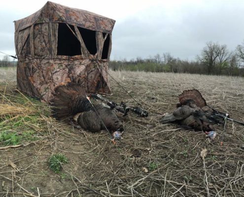 Tips for bow hunting turkeys out of ground binds | Muddy Outdoors