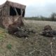 Tips for bow hunting turkeys out of ground binds | Muddy Outdoors
