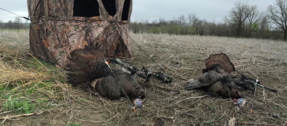 Tips for bow hunting turkeys out of ground binds | Muddy Outdoors