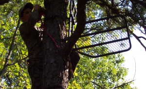 Tree Stands and Hunting Blinds Preparing for Next Season | Muddy Outdoors