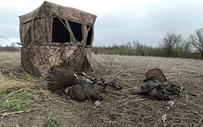 Ground Blinds | Tips For Turkey Hunting With A Bow