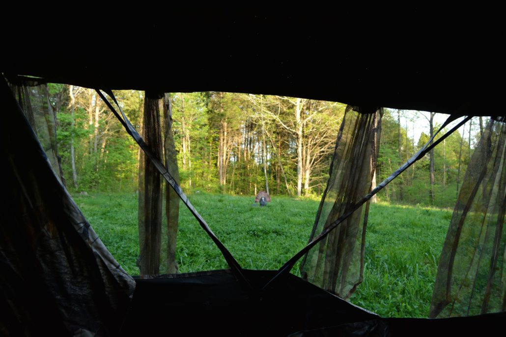 4 mistakes bow hunters make when turkey hunting from a ground blind | Muddy Outdoors