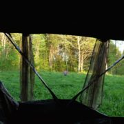 4 mistakes bow hunters make when turkey hunting from a ground blind | Muddy Outdoors