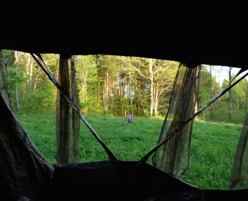 4 mistakes bow hunters make when turkey hunting from a ground blind | Muddy Outdoors