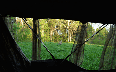 4 Mistakes Bow Hunters Make When Turkey Hunting From A Ground Blind