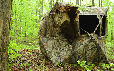 Tips For Setting Up Ground Blinds Under Roosted Birds