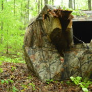 tips for setting up ground blinds under roosted turkeys | Muddy Outdoors