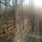 How to Make Tree Stand Hunting More Effective