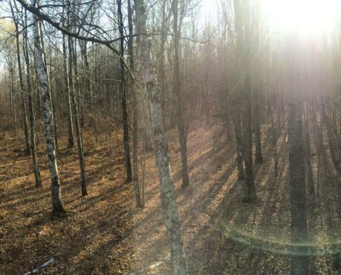 How to Make Tree Stand Hunting More Effective