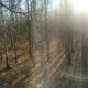 How to Make Tree Stand Hunting More Effective