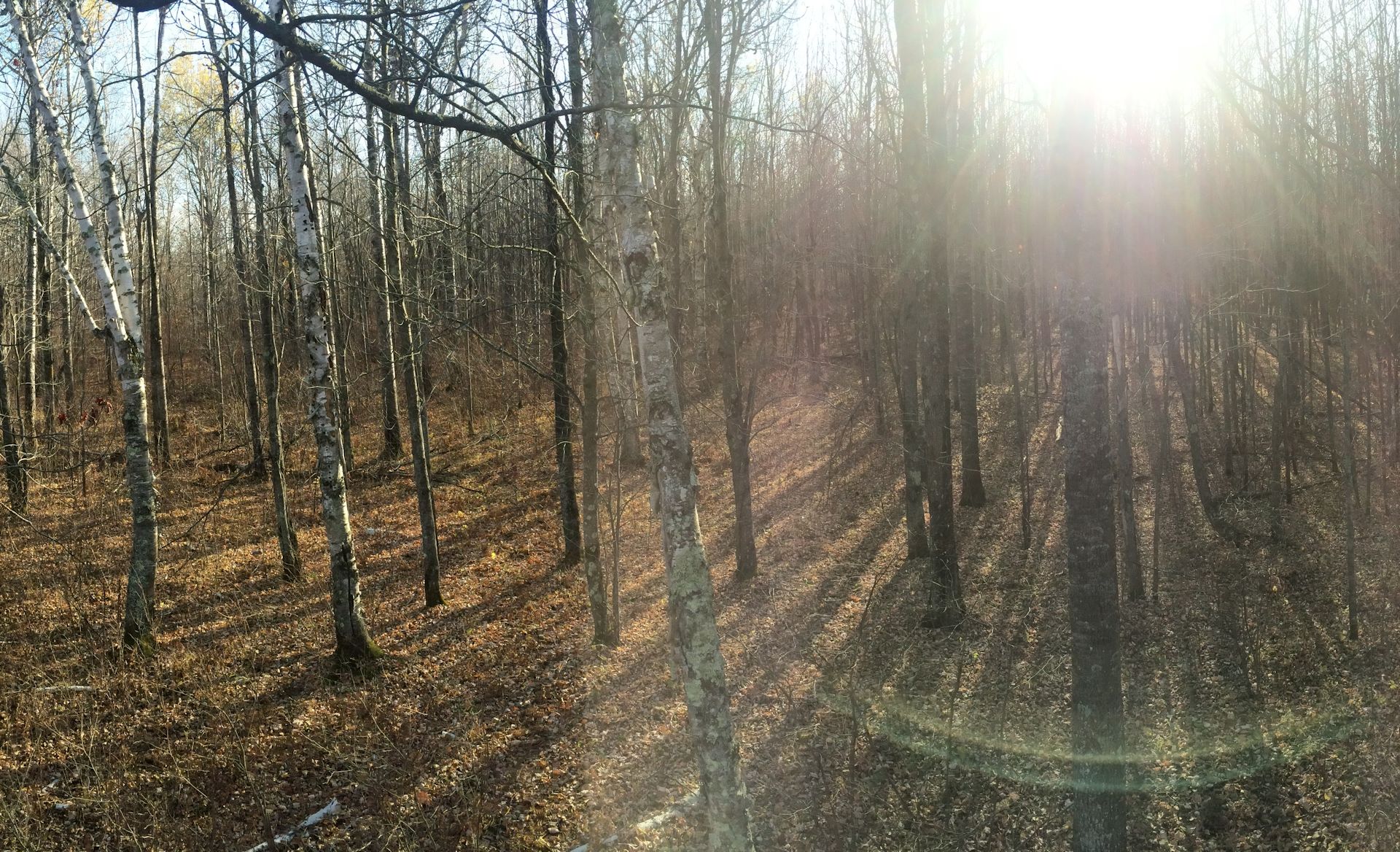 How to Make Tree Stand Hunting More Effective Muddy Outdoors Muddy