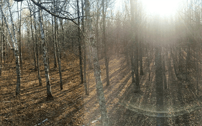 How To Make Tree Stand Hunting More Effective | Muddy Outdoors