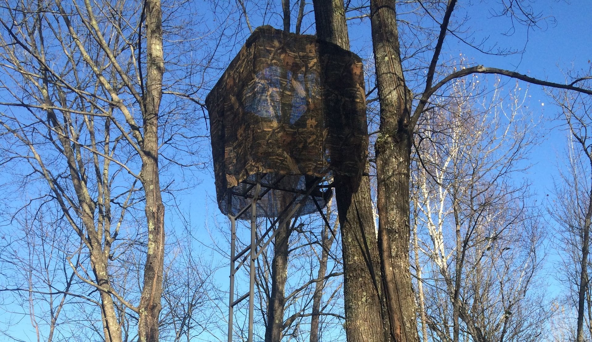 How To Make Tree Stand Hunting More Effective | Muddy Outdoors