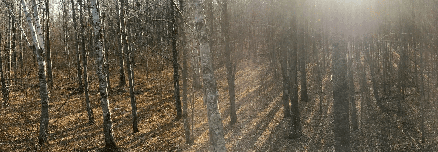 How To Make Tree Stand Hunting More Effective | Muddy Outdoors