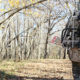 hunting big woods bucks in wilderness settings | Muddy Outdoors