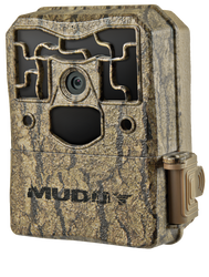 Trail Camera Surveys
