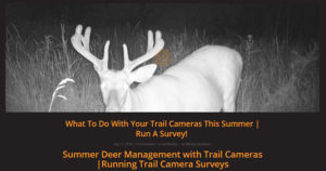 scouting deer public ground trail cameras | Muddy Outdoors