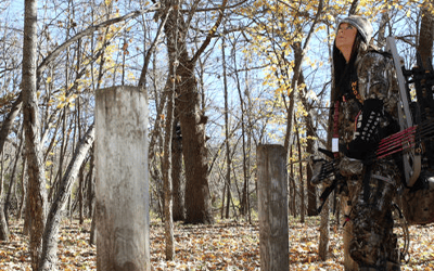 The Perfect Tree Stands For Public Land Hunting