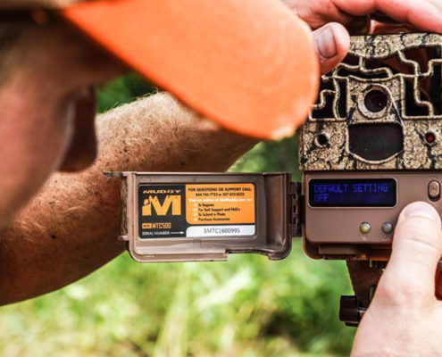 trail camera tips | Muddy Outdoors