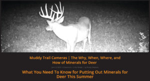 trail camera tips minerals | Muddy Outdoors
