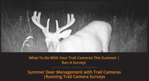 trail camera tips survey | Muddy Outdoors