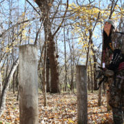 tree stands for public land | Muddy Outdoors