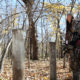 tree stands for public land | Muddy Outdoors