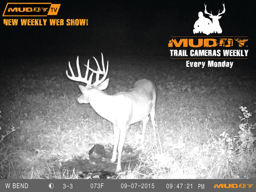 Mock scrapes and trail cameras | Muddy Outdoors