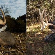 october deer hunting | Muddy Outdoors