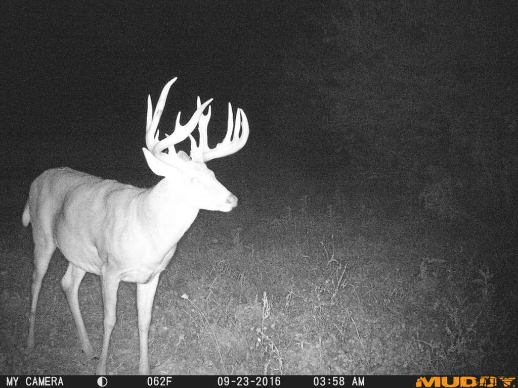 2 Bucks That Show You Shouldn’t Dismiss October Deer Hunting