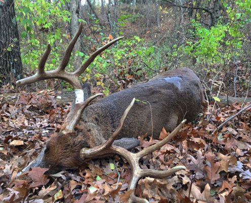 hunting tips thanksgiving buck | Muddy Outdoors