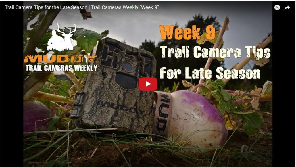 ground-blind-hunting-tips-late-season_promo