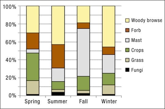 What Do Deer Eat During The Late Season?