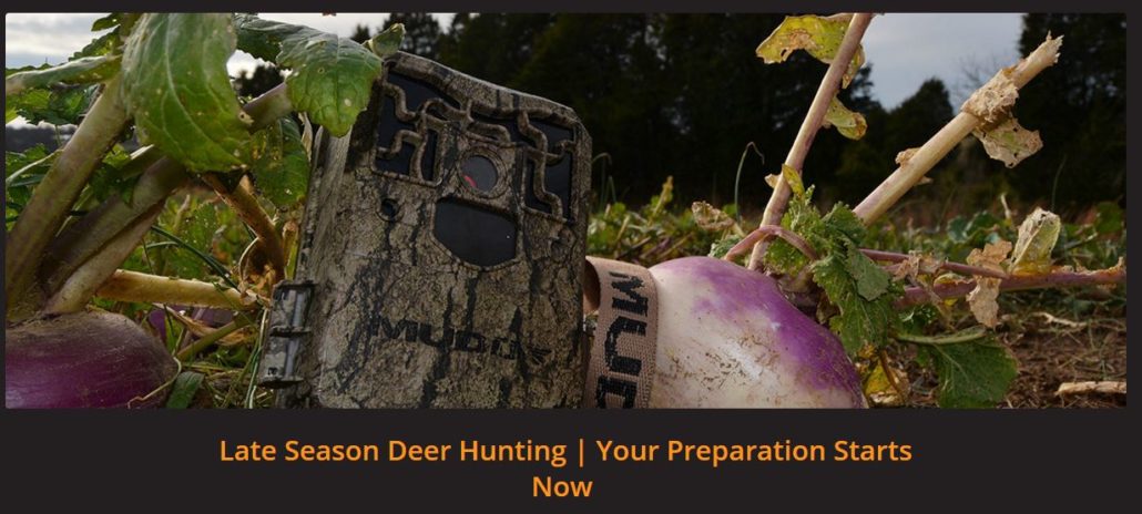what-do-deer-eat-late-season_promo