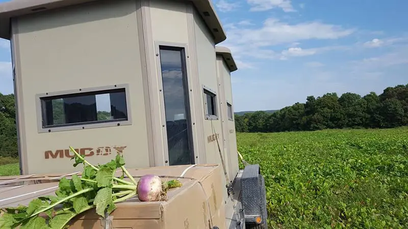 Post Season Considerations | Box Blind Placement And Strategies