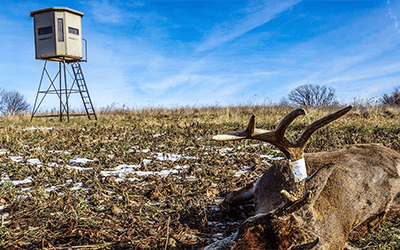 Post Season Considerations | Box Blind Placement And Strategies