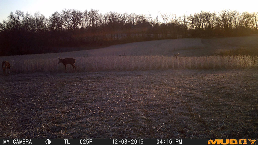 tips-scouting-for-deer-post-season_pic2