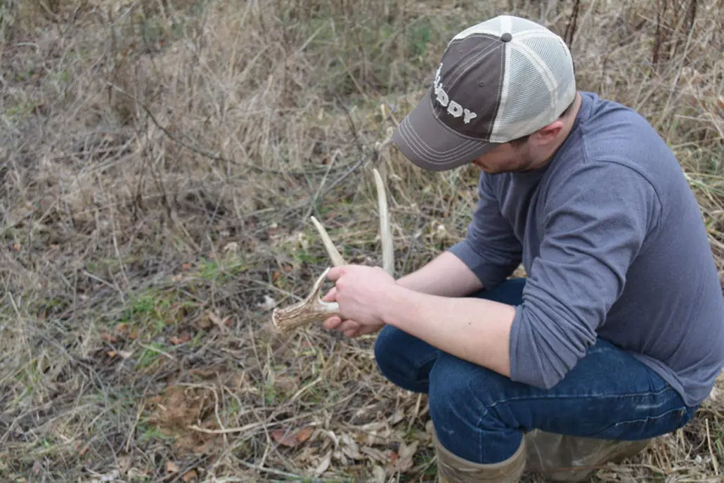 Using Trail Cameras To Figure Out When To Start Shed Hunting