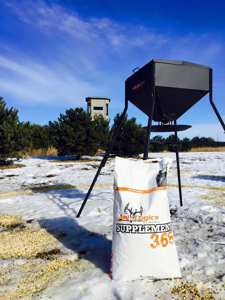 Deer Feeders 101 | Deer Feeding Tips, Concerns, And Strategies