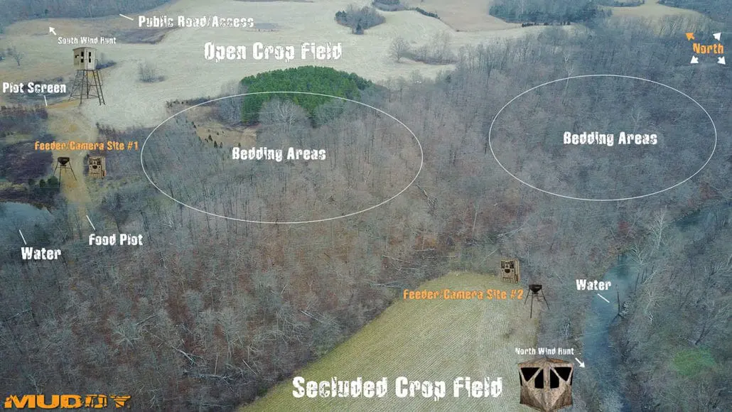 Deer Feeders 101 | Deer Feeding Tips, Concerns, And Strategies