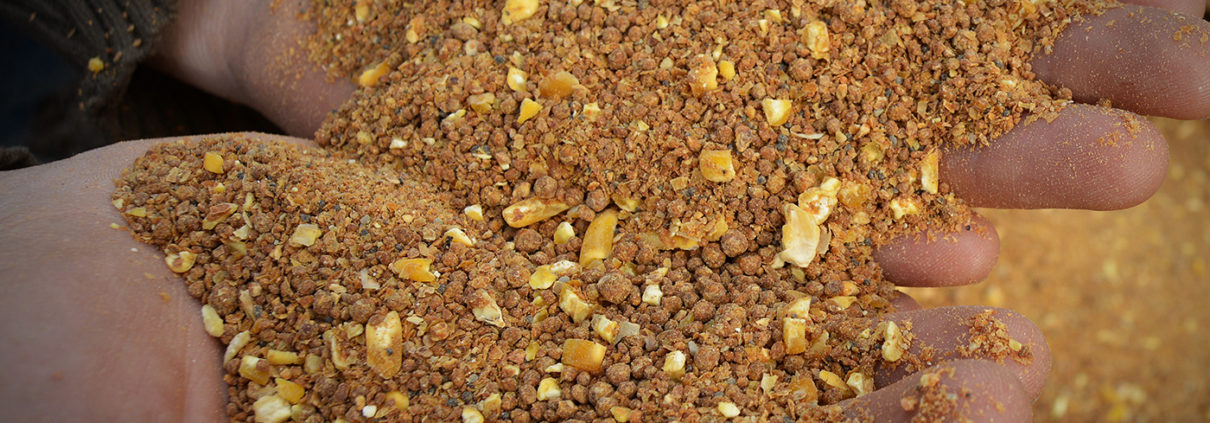 Deer Feeders 101 Deer Feeding Tips Concerns And Strategies