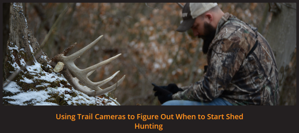 finding-dead-deer-shed-hunting_Promo1