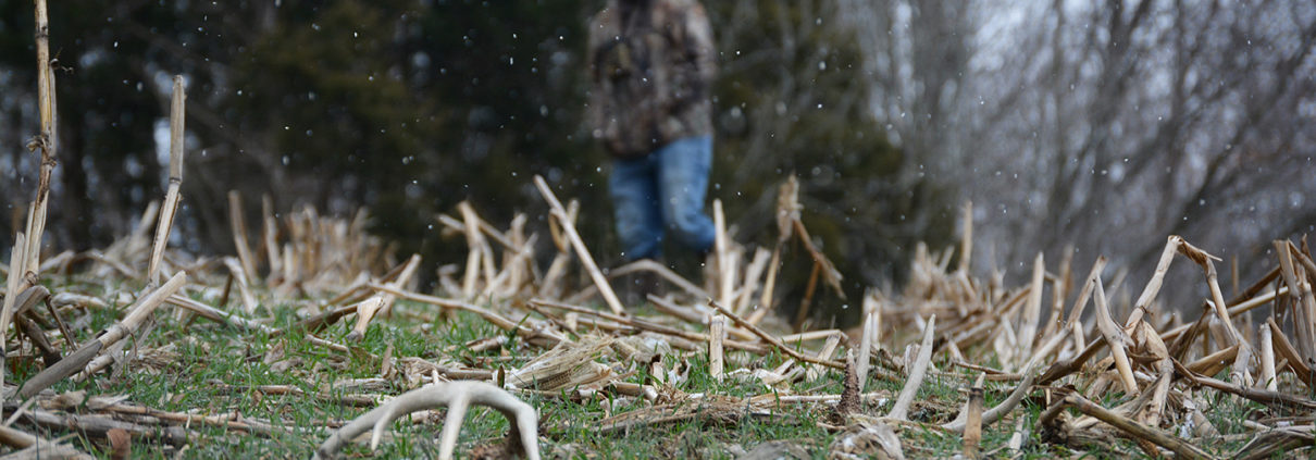 shed hunting