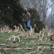 shed hunting