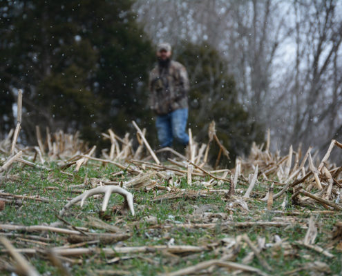 shed hunting