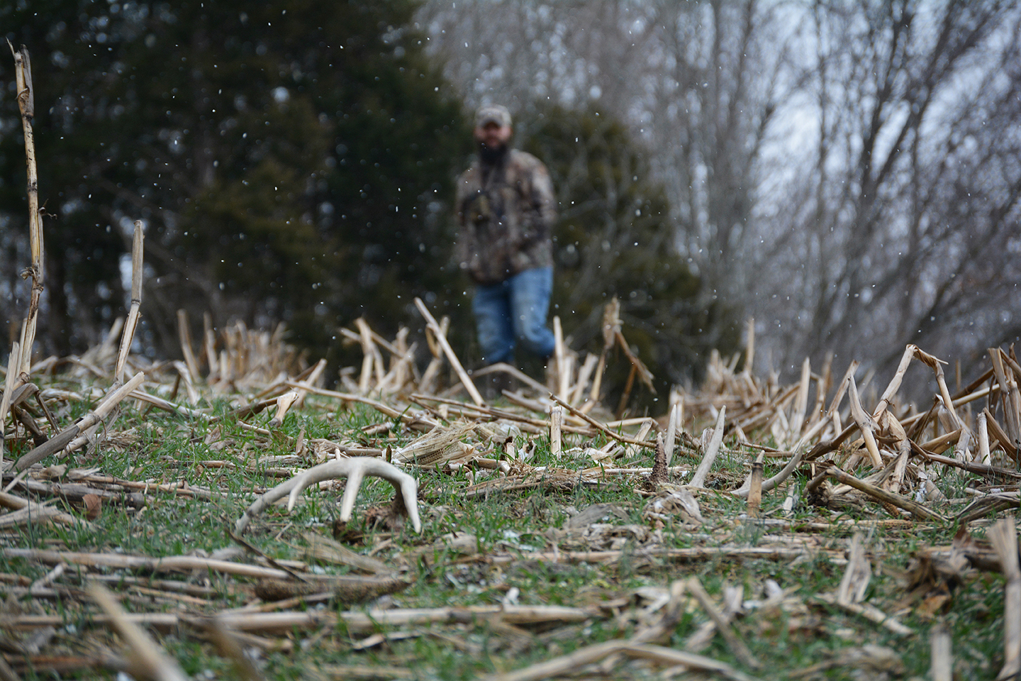 matching big brown elk sheds? yeah, that's a successful