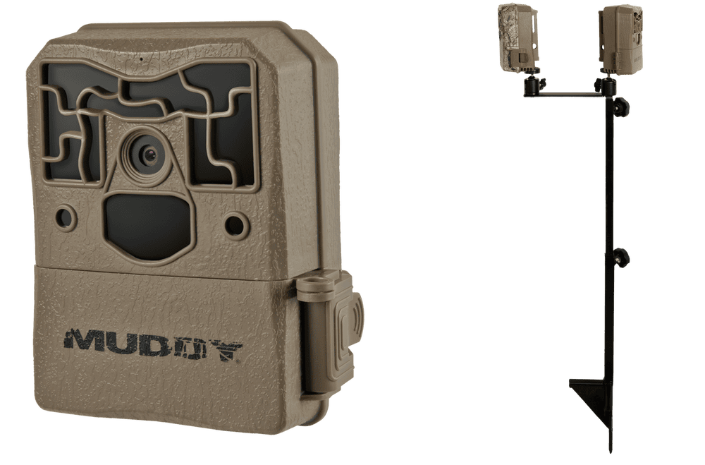 The Power Of Perennials | Spring Food Plots