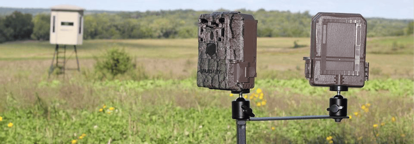 The Power Of Perennials | Spring Food Plots