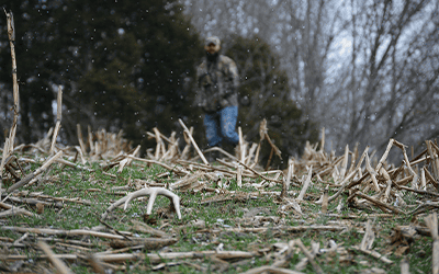 Top 6 Best Places To Find Shed Antlers