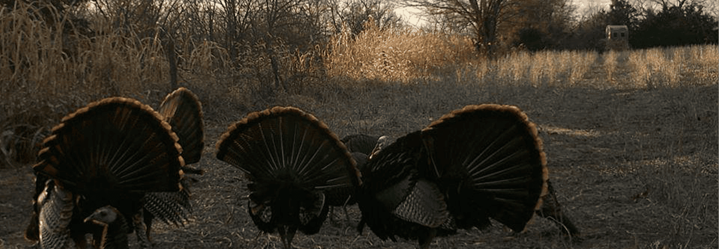 Bale Blinds 101 | Turkey Hunting With Bale Blinds